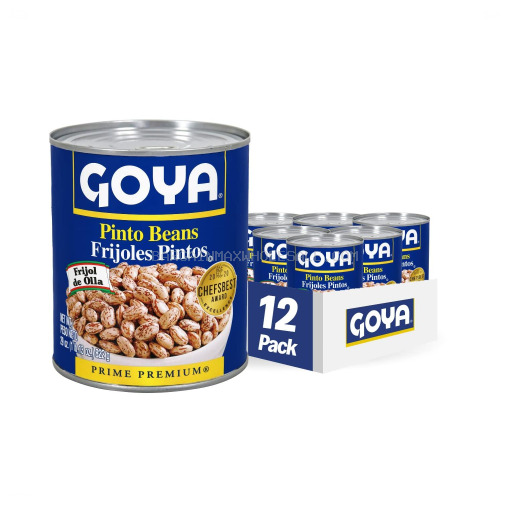 GOYA PINTO BEANS BEAN 12/29 OZ