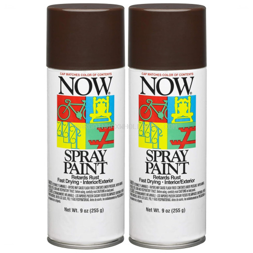 NOW SPRAY PAINT COCOA BROWN 1 CT