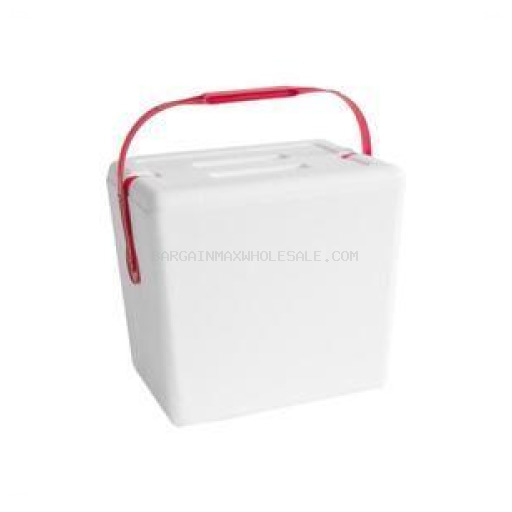 LIFOAM ICE CHEST MED 12 CT