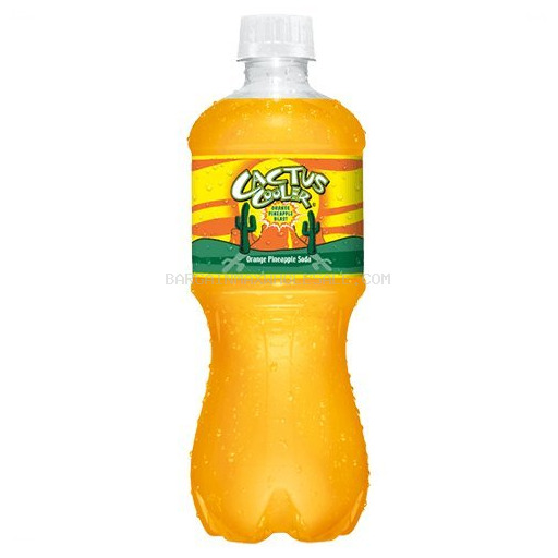 CACTUS COOLER 24/20 OZ