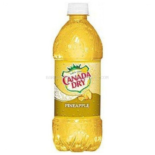 CANADA DRY PINEAPPLE 24/20 OZ
