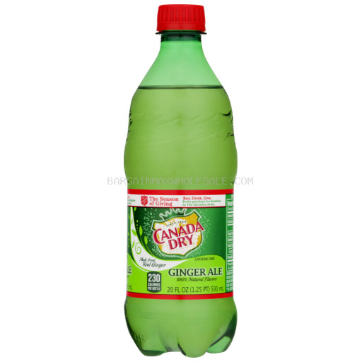 CANADA DRY GINGER ALE 24/20 OZ