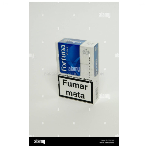 FORTUNA BLUE KG BX FCS 10 PK