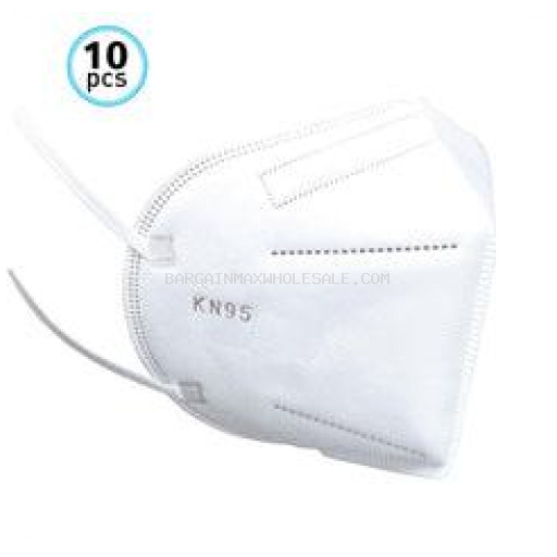 WWR KN95 MASK 10 CT