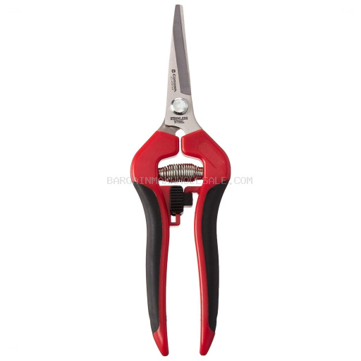 CURVED RED CORONA  GRAPE 12 CT