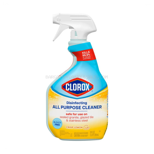 CLOROX  24/11OZ