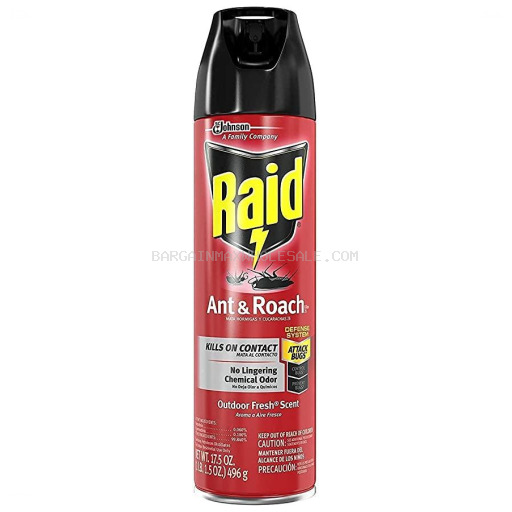 RAID ANT & ROACH OUTDOOR 12/17.5 OZ