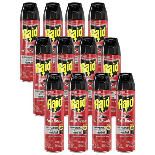 RAID ANT&ROACH KILLER OUTDOOR 12/17.5 OZ