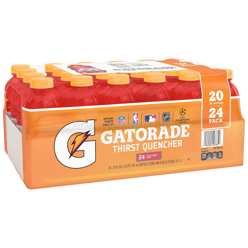 GATORADE FRUIT PUNCH 24/24 OZ