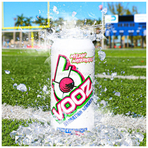 BVOOZ WYLDIN WATERMELON 12/16 OZ