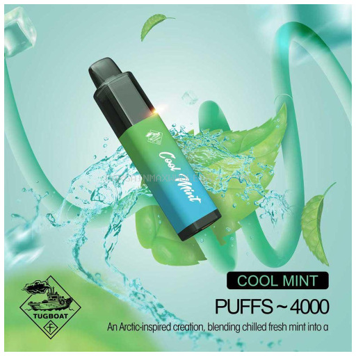 MEGA FLOW DUO COOL MINT/GRAPE ICE 10 CT