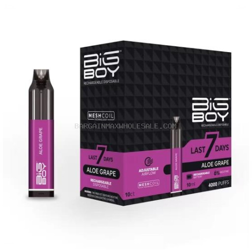 BIG BOY ALOE GRAPE 5K 5% NIC 10 CT