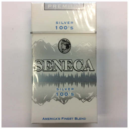 SENECA SILVER 100S BX FSC 10 PK