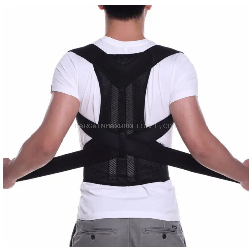 BACK SUPPORT BELT