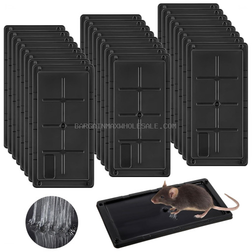 SQIANGSHUN RAT GLUE PASTES 24 CT