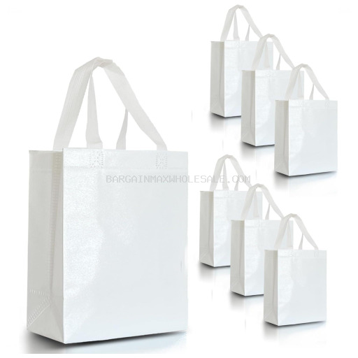 REUSEABLE SMALL WHITE BAG 500 CT