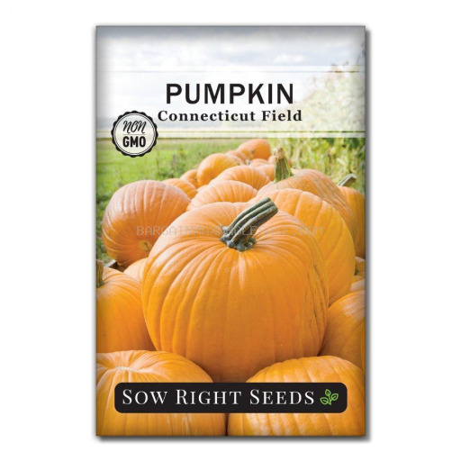 LUPAG PUMPKIN SEEDS  12 CT