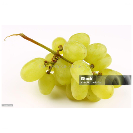 CURVED W/YELLOW GRAPE 12 CT