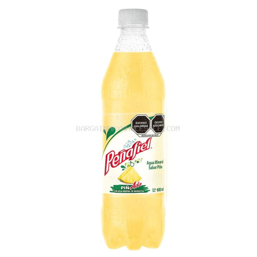 PENAFIEL PINADA 12/600ML