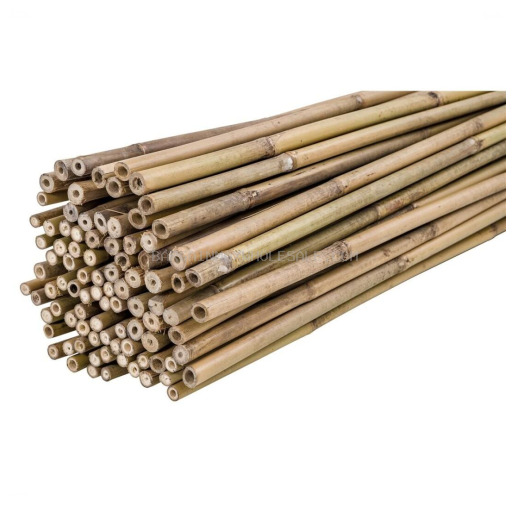 752830163386 BAMBU 1 1/4 NATURAL 25CT - Image 1