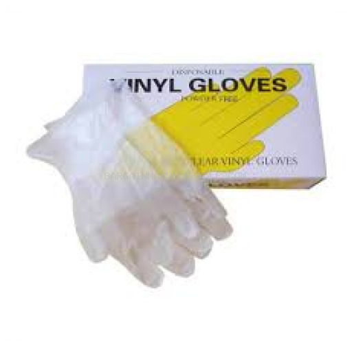 VINYL GLOVES 100CT