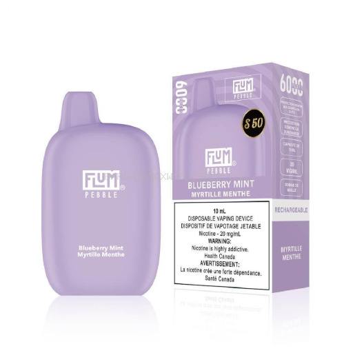 FLUM BLUEBERRY MINT 6K 5% NIC 10 CT