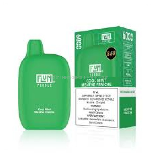 FLUM COOL MINT 6K 5% NIC 10 CT