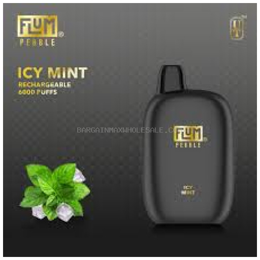FLUM ICY MINT 6K 5% NIC 10 CT