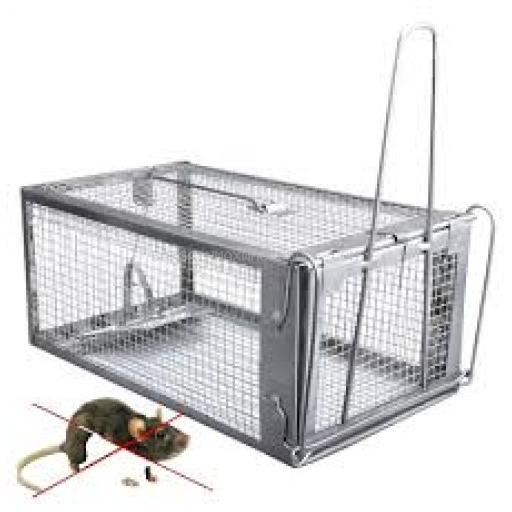 KINGMAN RAT TRAP