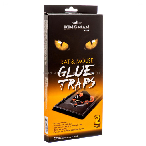KINGMAN MOUSE & INSECTCS 2PK