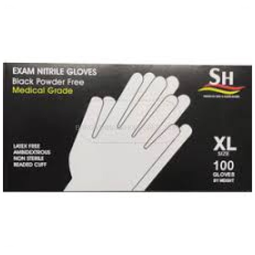 SH  GLOVES LG 100 CT