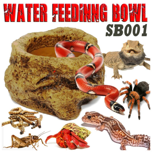 SB001 BOWL