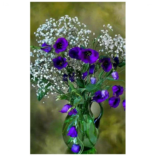 I-DOUBLE PERK W/FLOWER