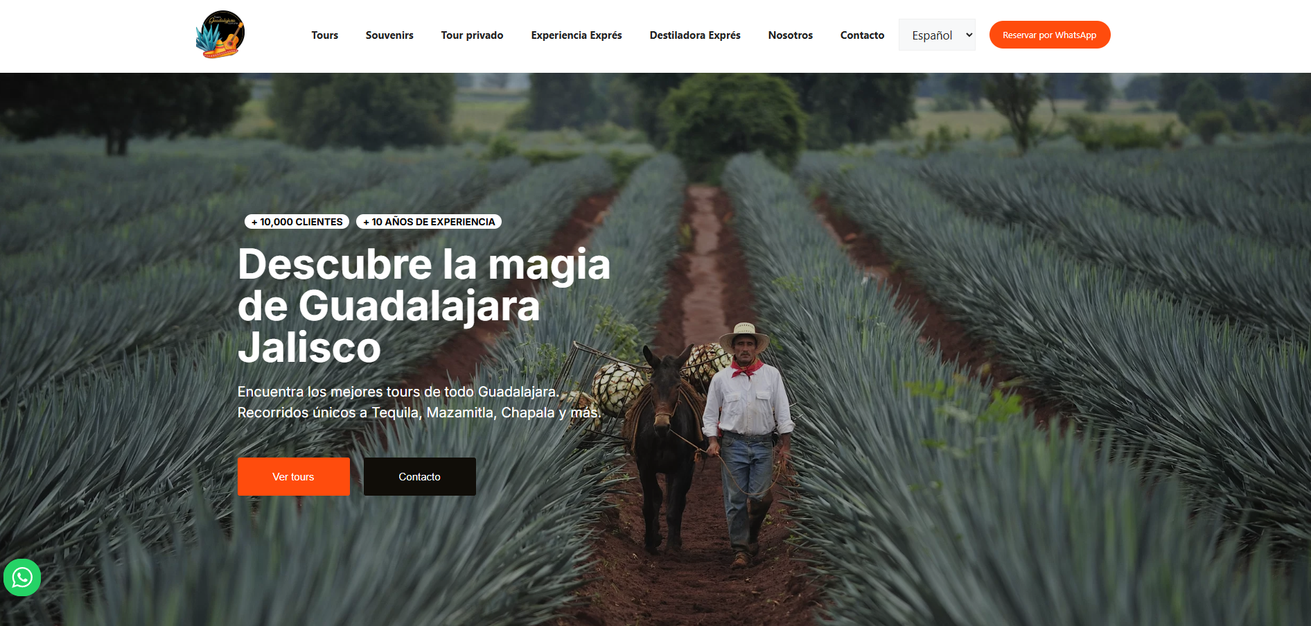 Tours Guadalajara