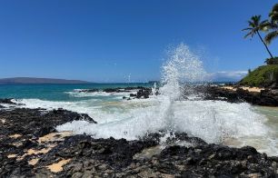 Moana Estates