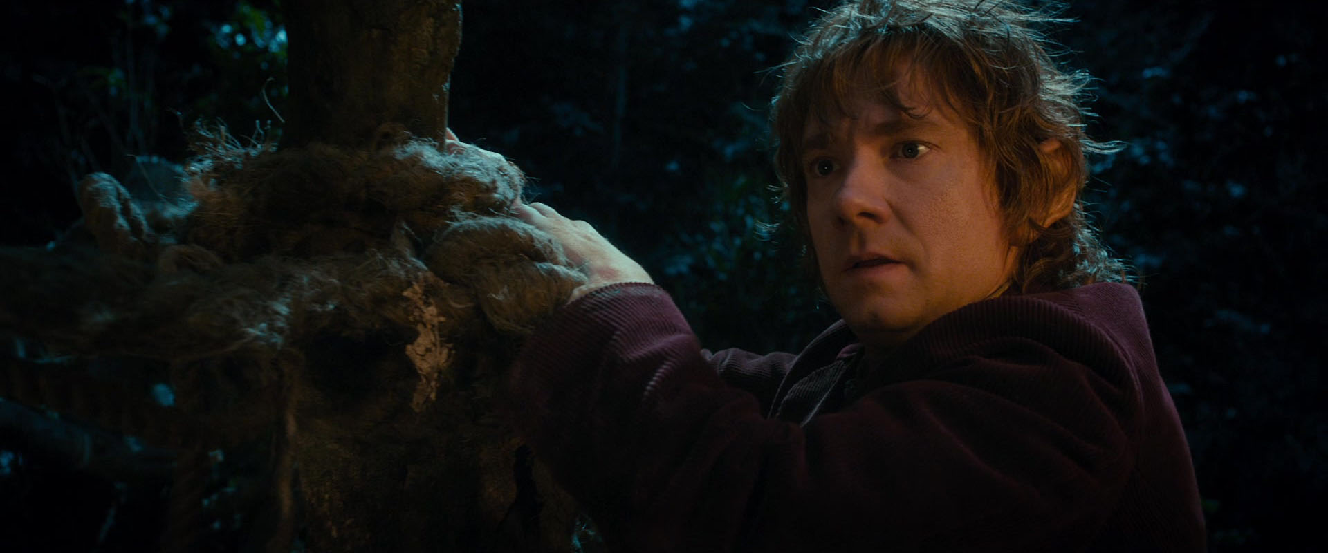 The Hobbit An Unexpected Journey (2012) 