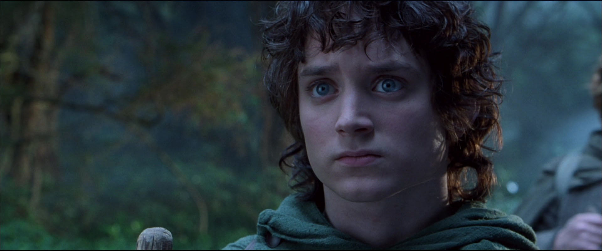 Принц из властелина колец. Элайджа Вуд Фродо. Хоббит Фродо Бэггинс. Властелин колец братство кольца Фродо. Хоббиты Фродо 4.
