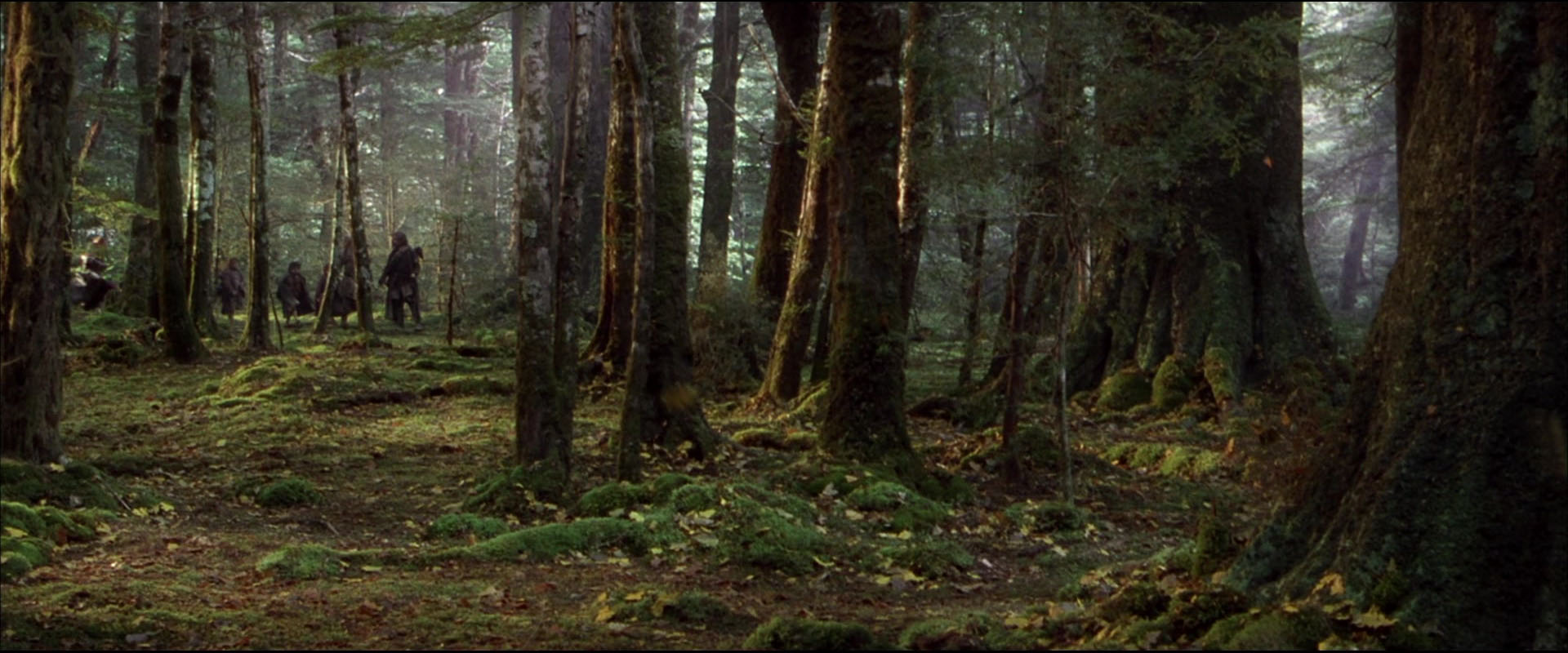 [ cap-that.com ] Lord of the Rings Fellowship of the Ring > screencap ...