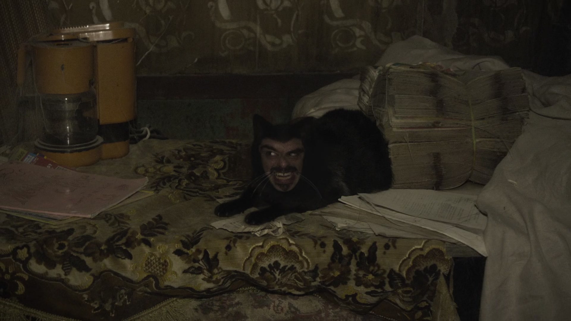 Superb owl meme what we do in the shadows