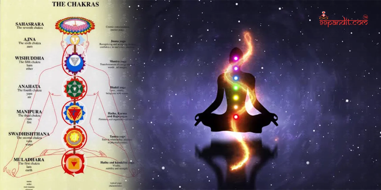 kundalini-chakra-2