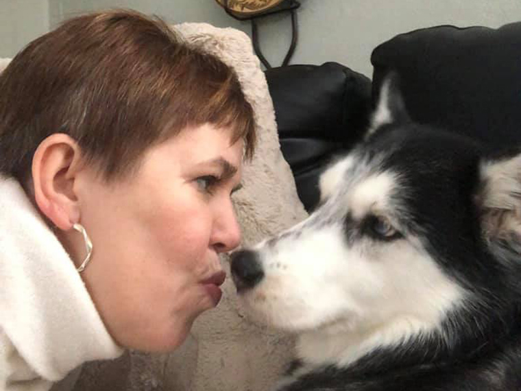 A Siberian husky saves its owner by detecting her tumors Padeye