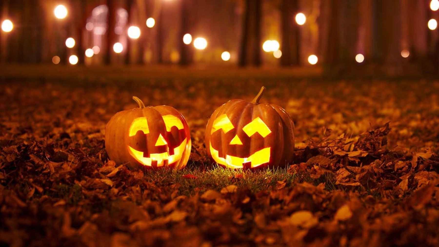 Why is Halloween celebrated on October 31? Origin and meaning Padeye