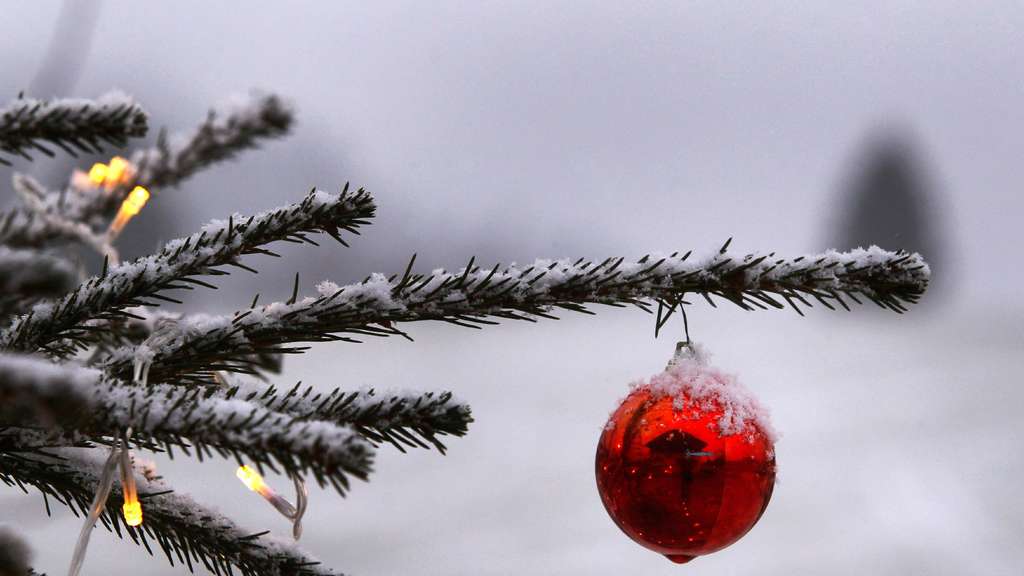 Ein geschmückter Christbaum steht am 08.12.2014 bei Unterjoch (Bayern) im Garten eines Bauernhofes. Foto: Karl-Josef Hildenbrand/dpa (zu dpa „Umfrage: Etwa jeder dritte Deutsche wünscht sich weiße Weihnacht“ vom 14.12.2015)
