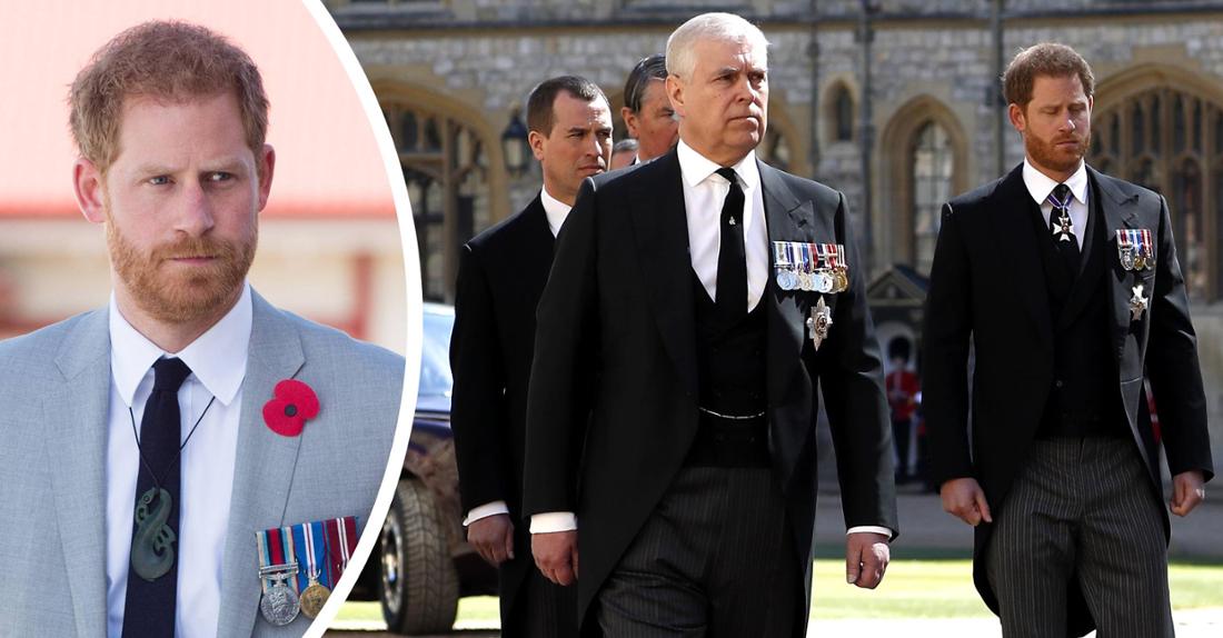 Dass Prinz Andrew trotz seines Missbrauchsskandals weiterhin Polizeischutz zusteht, dürfte bei Prinz Harry auf wenig Verständnis stoßen. (Fotomontage)