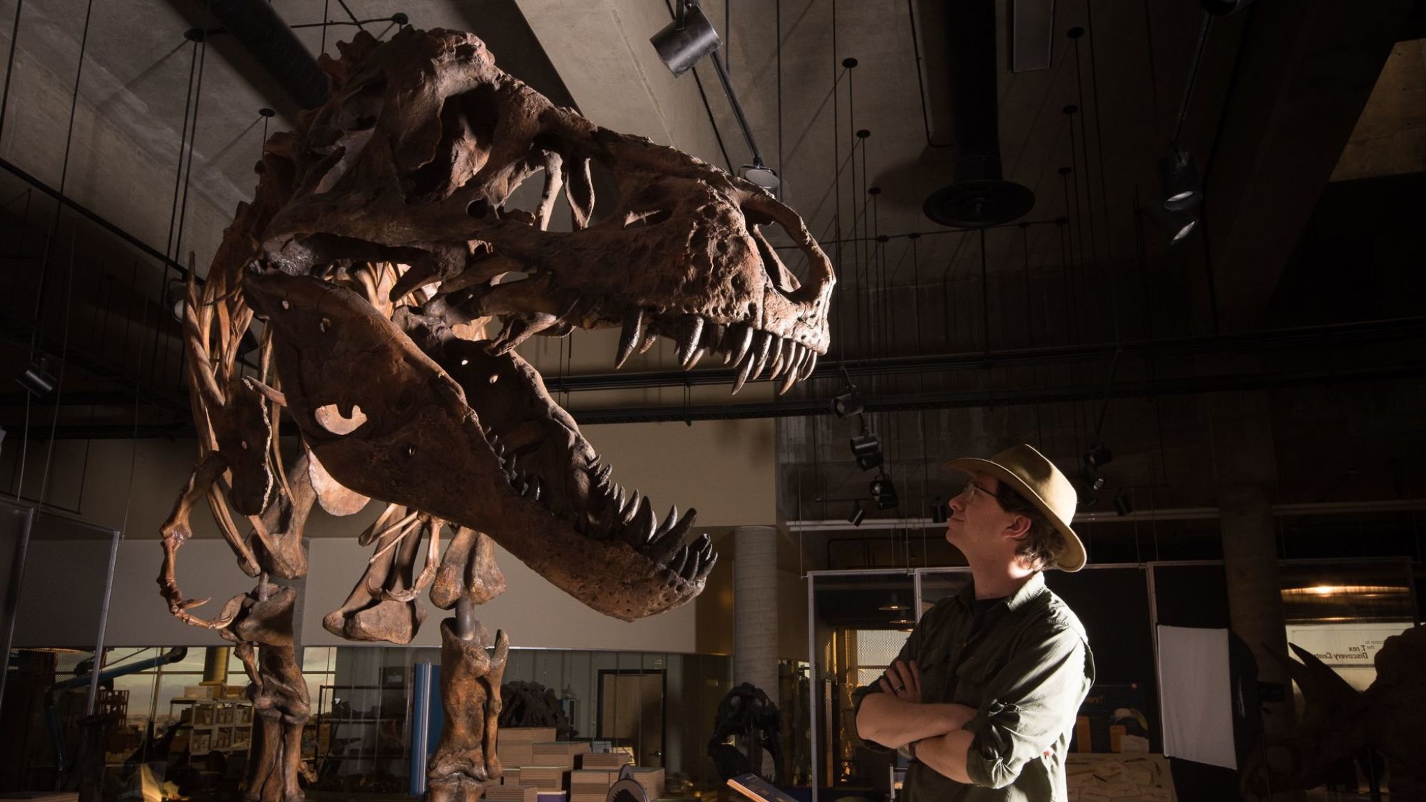 largest tyrannosaurus