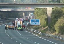 Autobahn 31 wegen Waldbrandes gesperrt