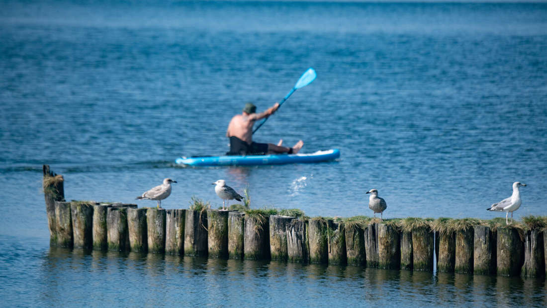 Fischerdorf  Insel Usedom Kleinen Haff (Stettiner Haff) Grenze Polen.Anwohner  Touristen  baden  angeln.
