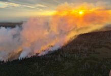 Waldbrand am Brocken: Seit Samstag kämpfen Feuerwehrleute gegen die Flammen.