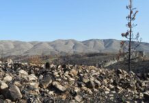 29825663-a-landscape-in-the-mountains-of-spain-is-burnt-3wm77q4b0zfe-1 Eine Landschaft in den Bergen Spaniens ist verbrannt.