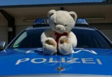 Eine Mainzerin hat einen GPS-Tracker in einem Teddybären versteckt und so ihren Nachbarn überführt.